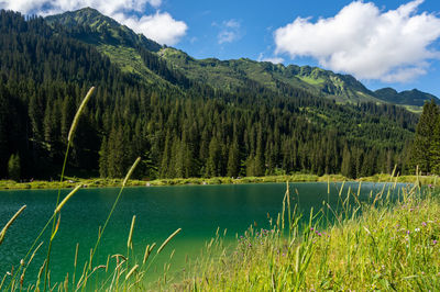 Scenic view of lake by trees against sky