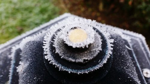 Close-up of ice on grass