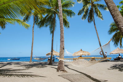 Palm trees on beach against sky