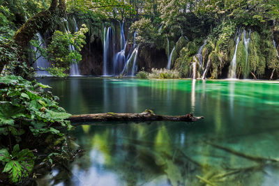 Scenic view of waterfall in park