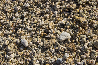 High angle view of stones on beach