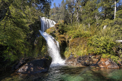 Scenic view of waterfall in forest