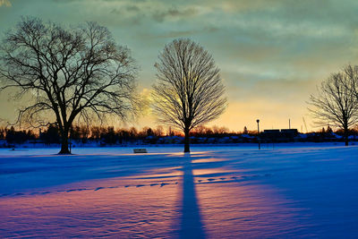 Bare trees by frozen lake against sky during sunset