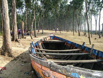 Boat against trees at beach