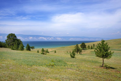 Scenic view of field against sky