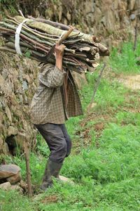 Rear view of man working in basket