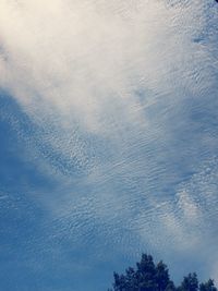 Low angle view of trees against sky