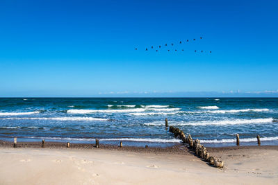 Seagulls flying over beach against sky