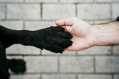 Close-up of hand touching black outdoors