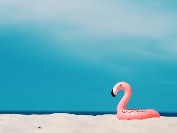 Inflatable flamingo raft at beach