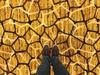 Low section of person standing on cobblestone