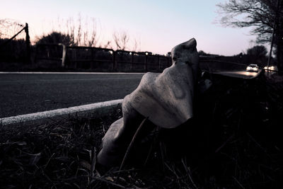 View of a horse on field