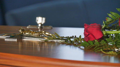 Close-up of red rose on table