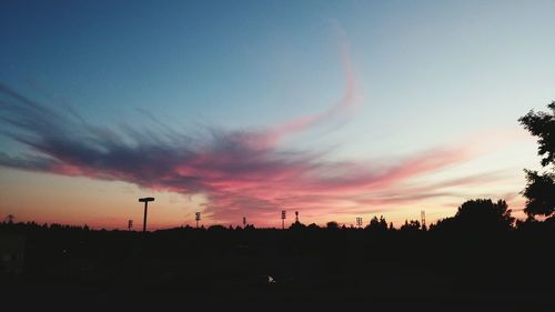 Silhouette of trees at sunset