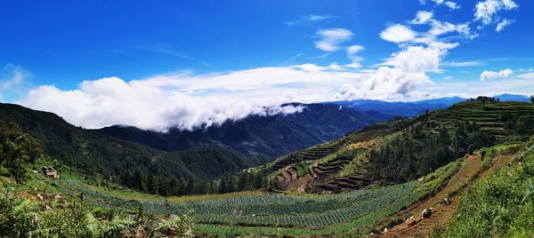 Panoramic view of landscape against sky