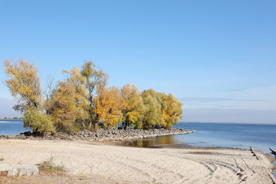 Scenic view of sea against clear blue sky