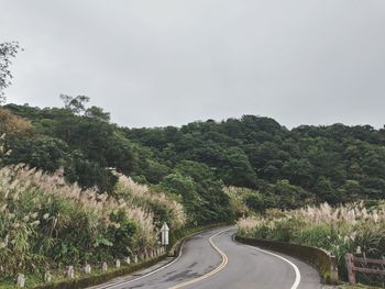 Road amidst trees against sky