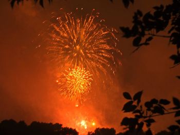 Low angle view of firework display at night