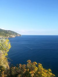 Scenic view of sea against clear blue sky