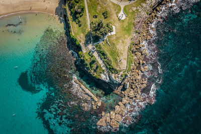 Dolphins point coogee