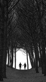 Silhouette couple walking amidst trees