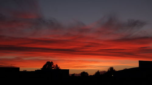 Low angle view of silhouette trees against orange sky