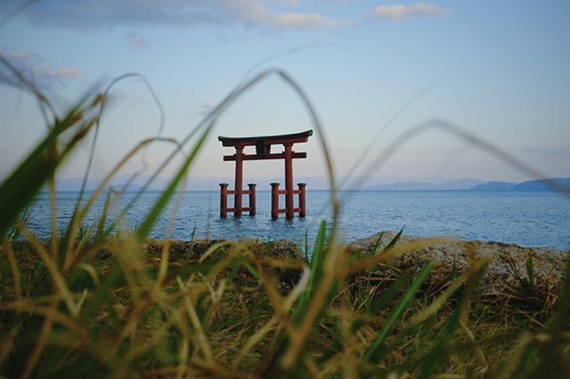 water, sea, grass, horizon over water, sky, tranquil scene, tranquility, beach, nature, scenics, plant, beauty in nature, shore, idyllic, day, outdoors, remote, growth, non-urban scene, no people