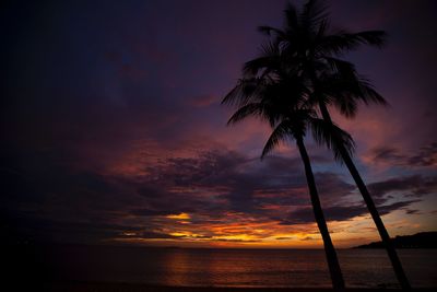 Silhouette palm tree by sea against sky at sunset