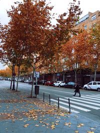 Road passing through city