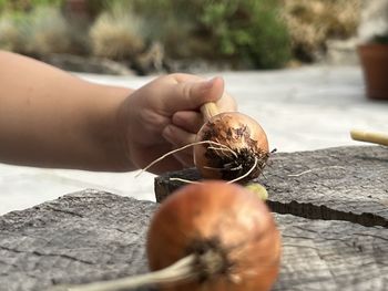 hand