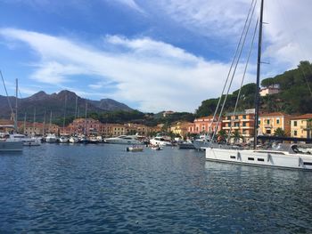 Sailboats moored on harbor by sea against sky