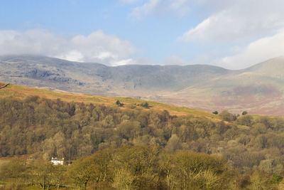 Scenic view of landscape against sky