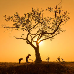 Silhouette of tree on field against sky during sunset