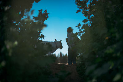 Low angle view of man standing by trees against sky