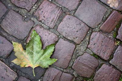 High angle view of walkway