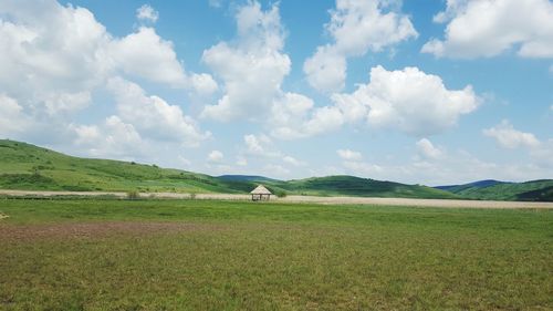 Scenic view of agricultural field against sky