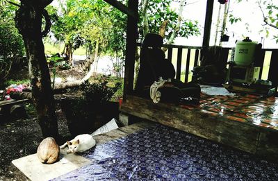 Man sitting by tree trunk