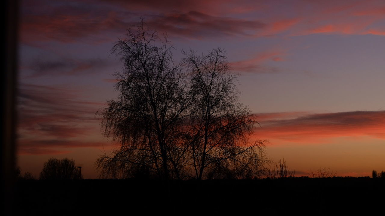 sky, sunset, silhouette, tree, beauty in nature, cloud, plant, tranquility, scenics - nature, dawn, tranquil scene, afterglow, nature, red sky at morning, orange color, evening, no people, bare tree, landscape, environment, dramatic sky, idyllic, land, non-urban scene, outdoors, growth, horizon, field, dark