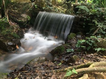 Waterfall in forest