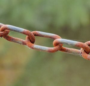 Close-up of rusty metal fence