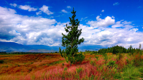 Scenic view of field and mountains against sky