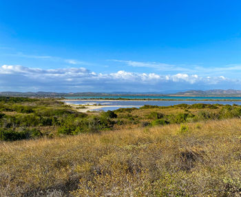 natural environment