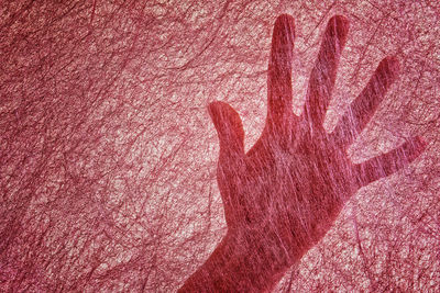 Close-up of hand on pink wall