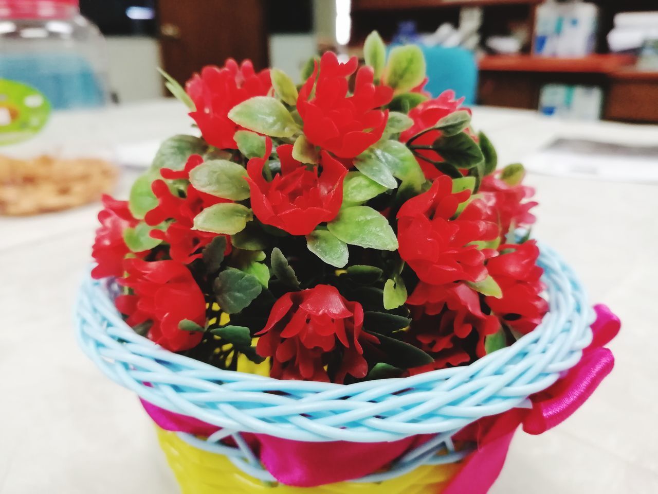 CLOSE-UP OF POTTED PLANT ON RED TABLE