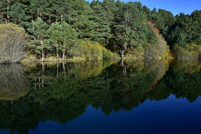 Reflection of trees in lake against sky