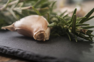 Close-up of garlic on table