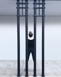 Rear view of woman looking at railing