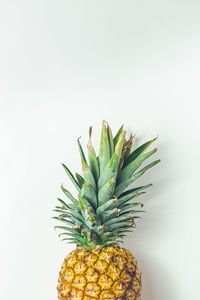 Close-up of fruit against white background