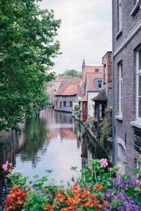 Canal amidst houses and buildings against sky