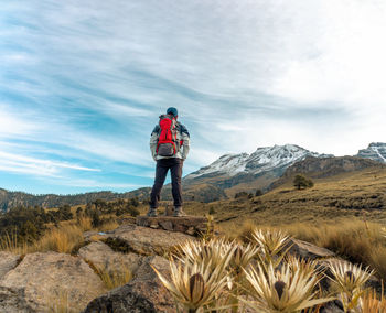 Rear view of man standing on mountain